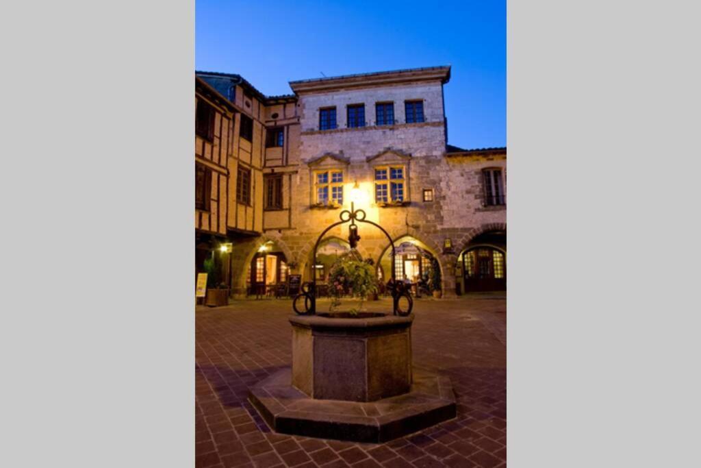 Castelnau-de-Montmiral Domaine De La Durantie Duplex Vieux Chateau מראה חיצוני תמונה