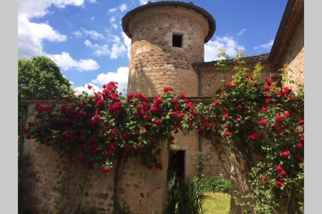 Castelnau-de-Montmiral Domaine De La Durantie Duplex Vieux Chateau מראה חיצוני תמונה